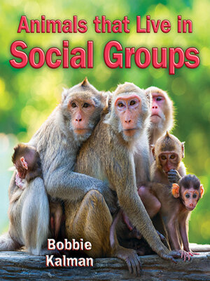cover image of Animals that Live in Social Groups